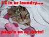 laundrypoop.jpg