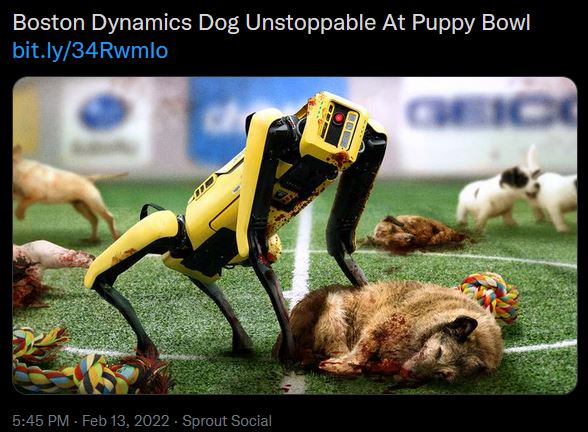 bostonpuppybowl.JPG