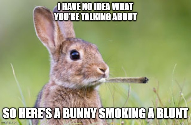 bunny-blunt2.jpg