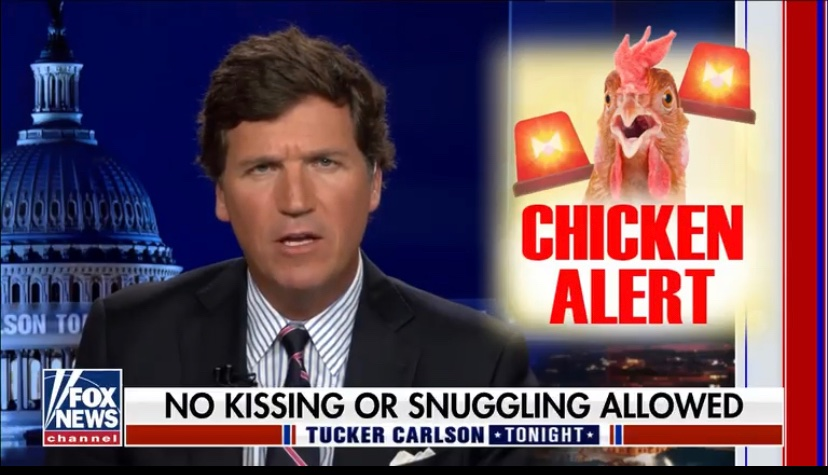 chickenalert.png