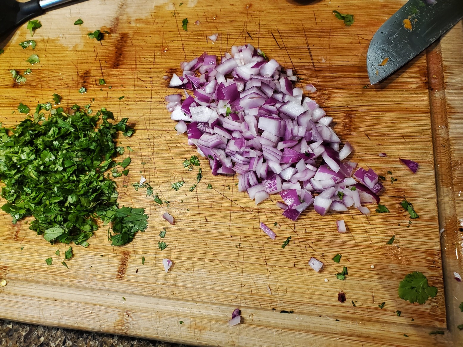 cilantro and onions.jpg