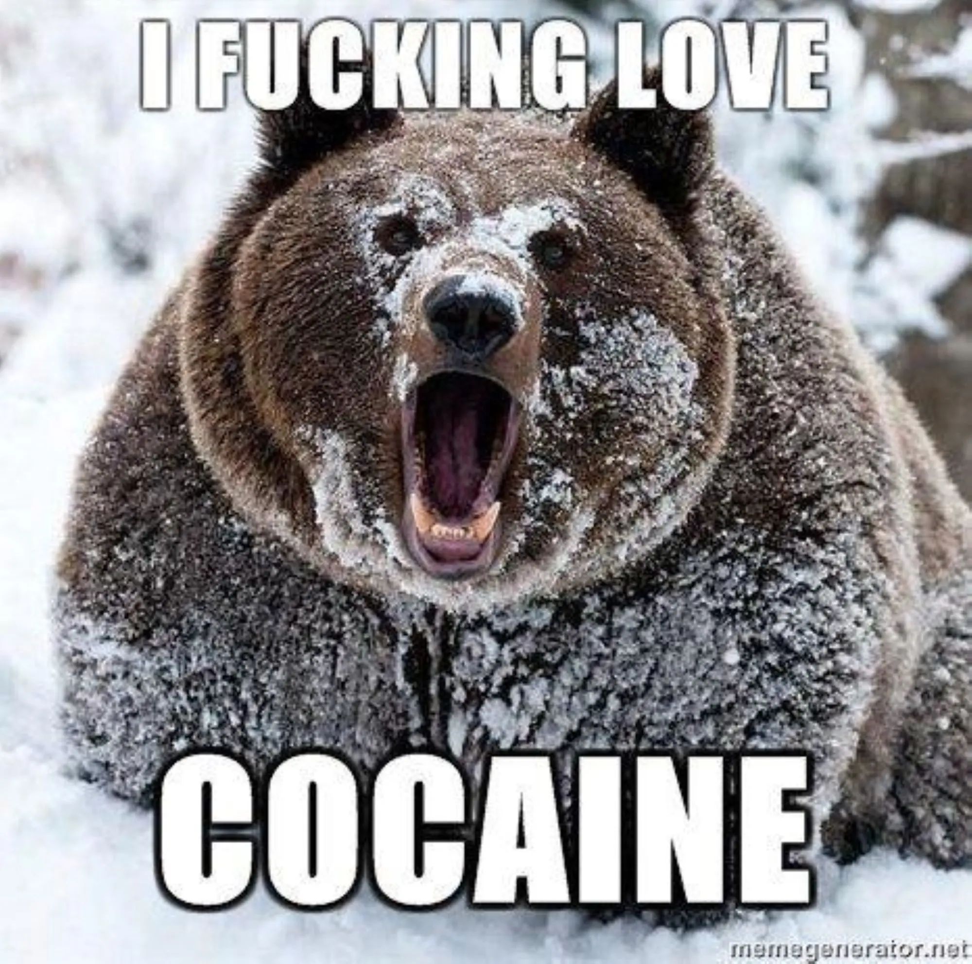 cocaine-bear1.jpg