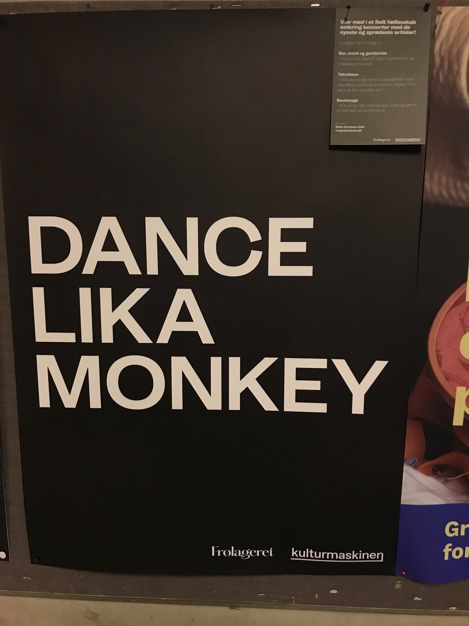 Dance_Monkey.jpg