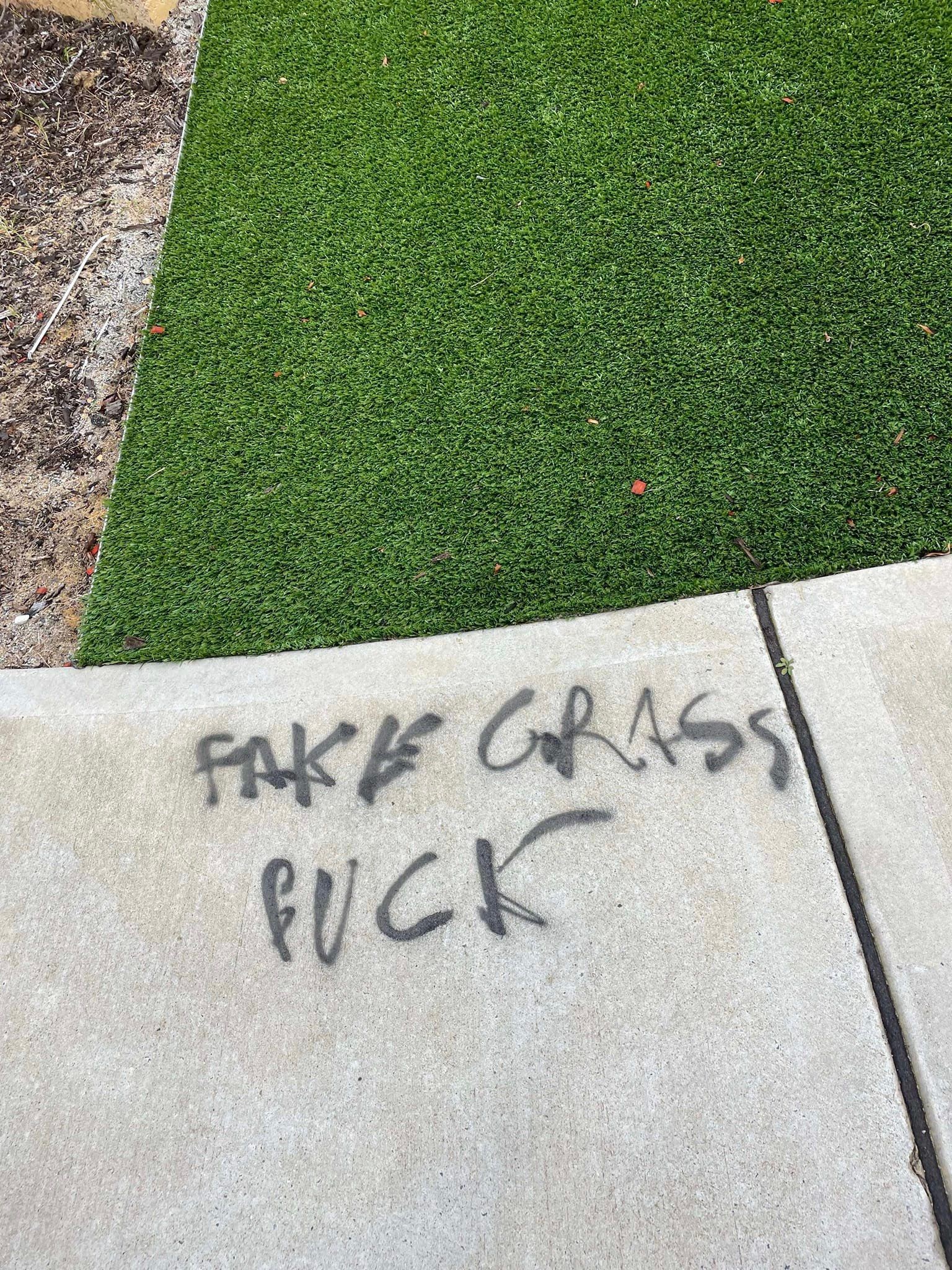 Fake Grass Fuck.jpg