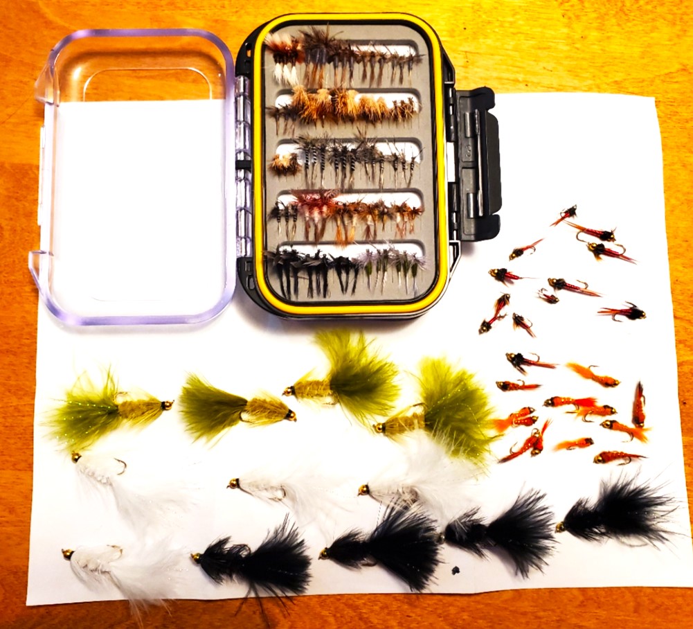 fly collection.jpg