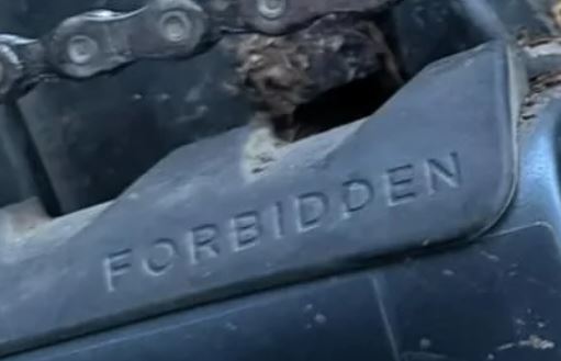 forbidden.JPG
