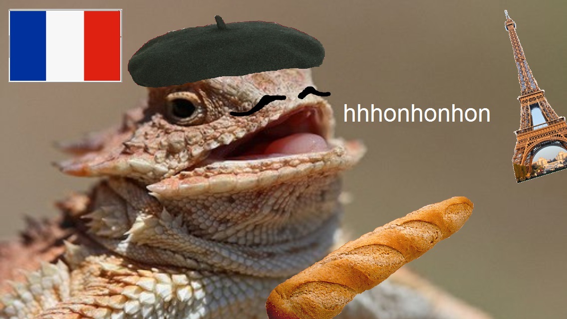 french lizard.jpg