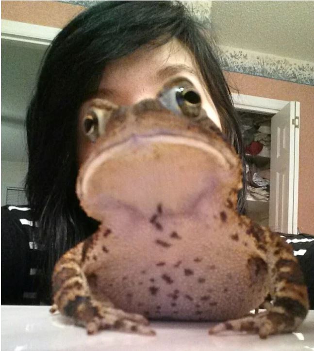 Frog.JPG