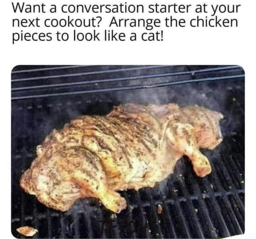 grille cat.jpg