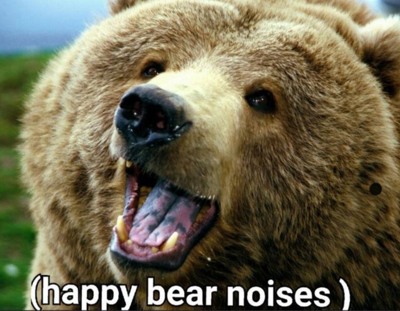 happy bear noises.JPG