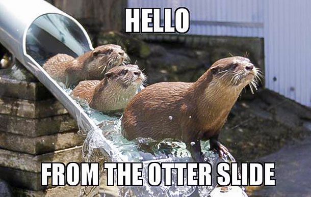 Hello-From-The-Otter-Slide.jpg