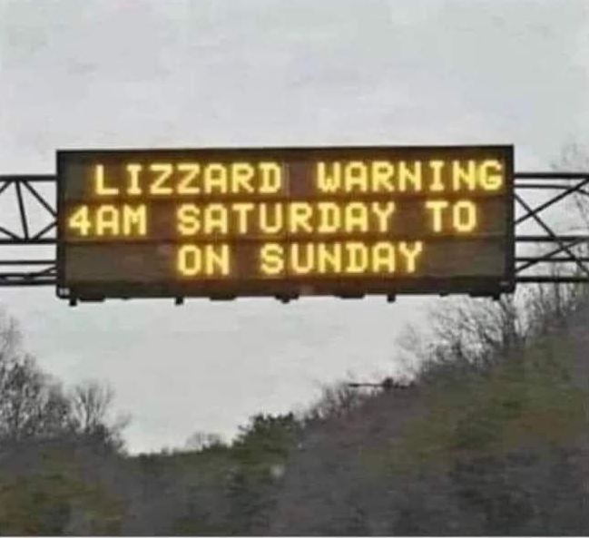 lizzardwarning.JPG