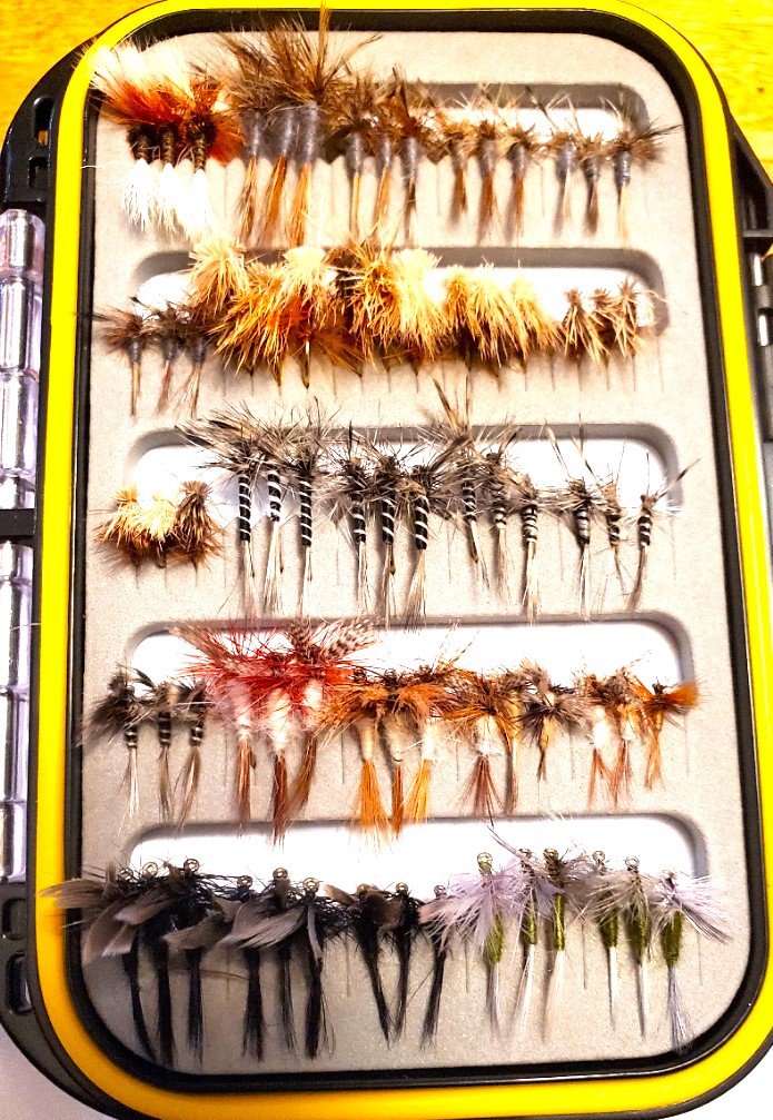 midge fly collection a.jpg