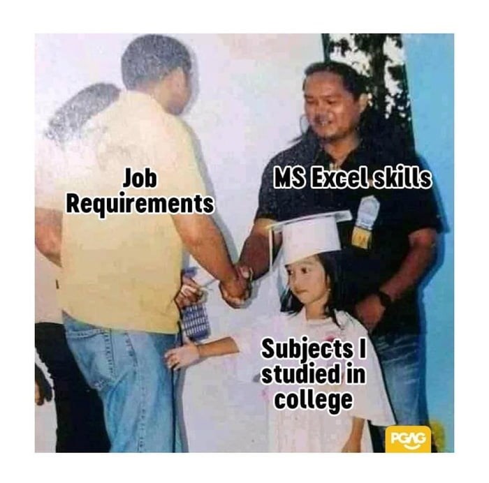 person-job-requirements-greecem-ms-excel-skills-subjects-studied-college-pgag.jpeg