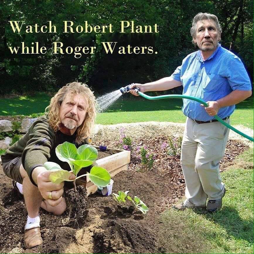 Plant gets Waterd.jpg