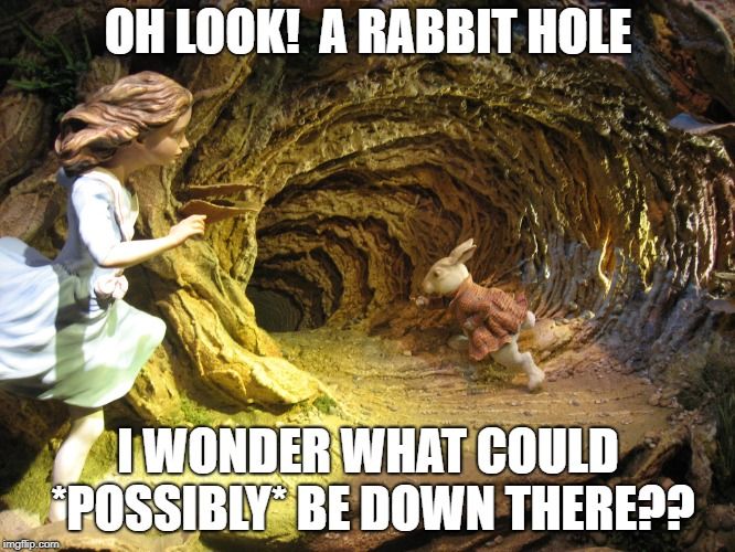 rabbithole.jpg