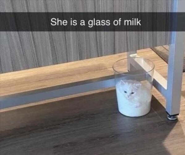 she-is-glass-milk.jpeg