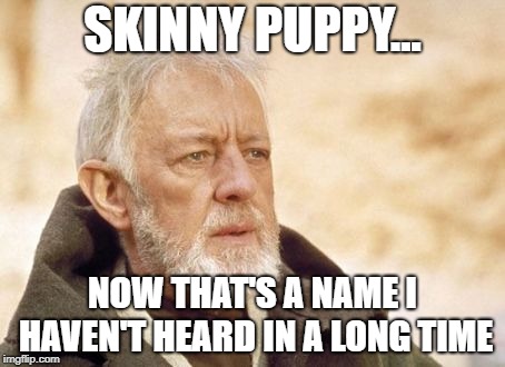 skinny-puppy.jpg