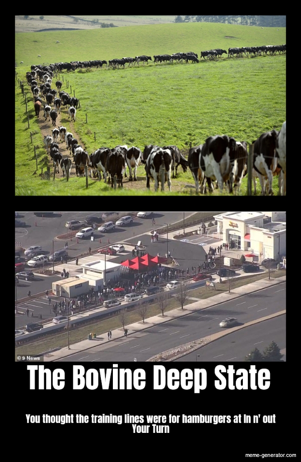 the-bovine-deep-state-you-thought-the-training-lines-were-for-hamburgers-at-in-n-276875-1.jpg