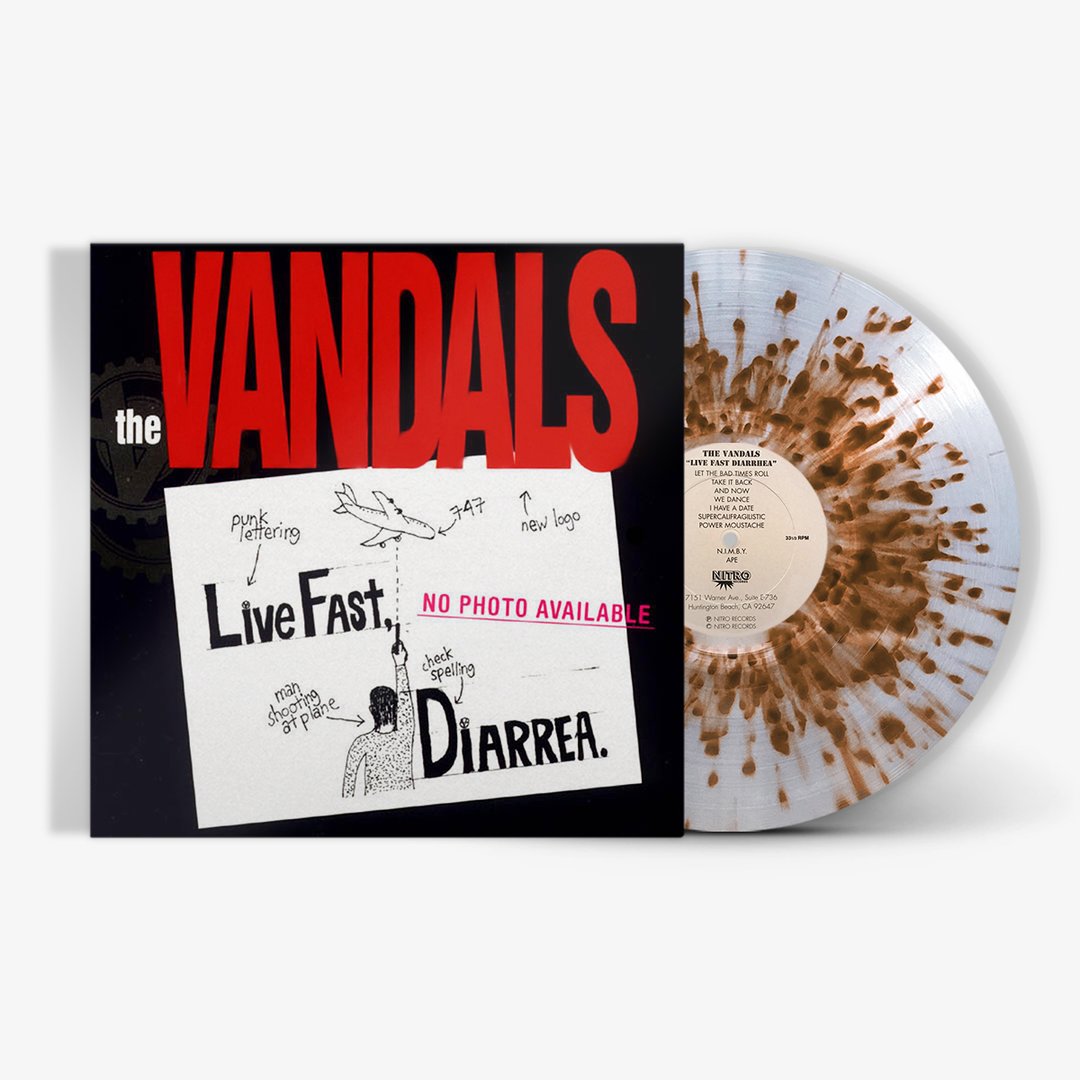 THEVANDALS_LFD_SPLATTER_VINYL_1_1080x.jpg