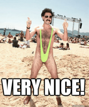 thumb_very-nice-pictures-of-borat-very-nice-how-much-52947014.png