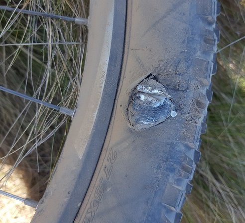 Tyre Cut.jpg