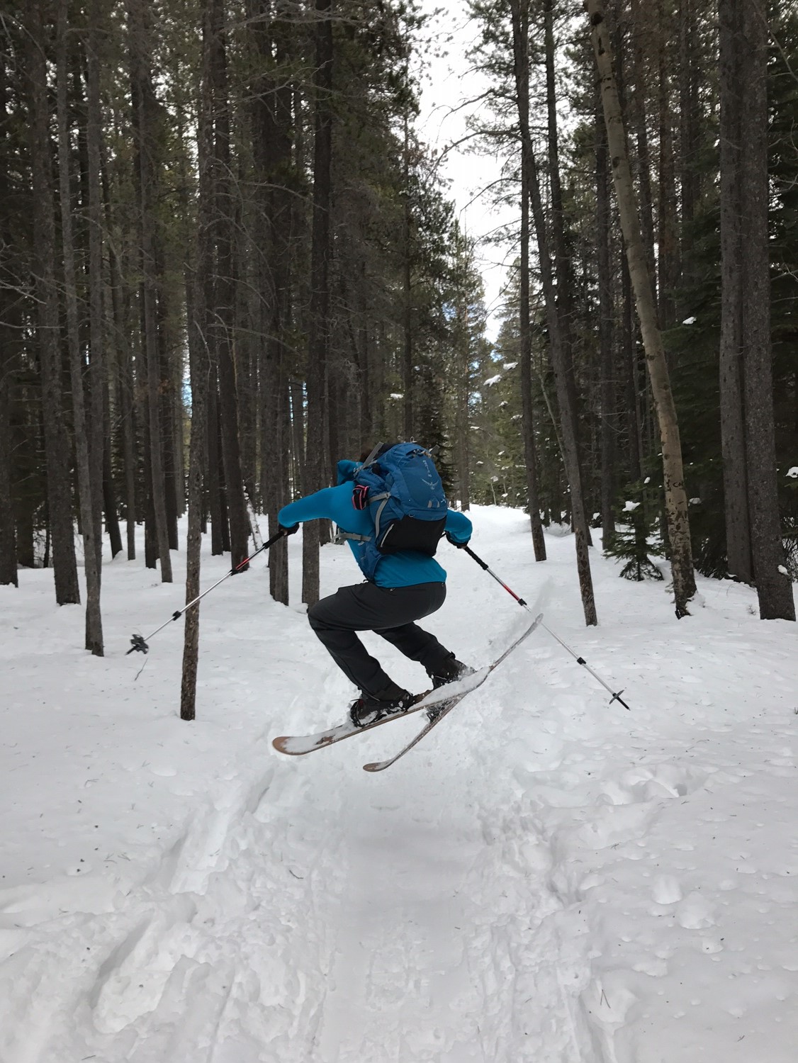 XC Skiing.JPG