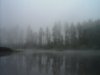 foggylake.jpg