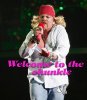 axl-rose-fat.jpg