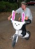 bunnybike.jpg