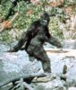 lento-bigfoot.jpg