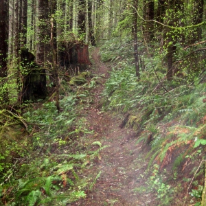 Mudslinger Trail in Blodget OR