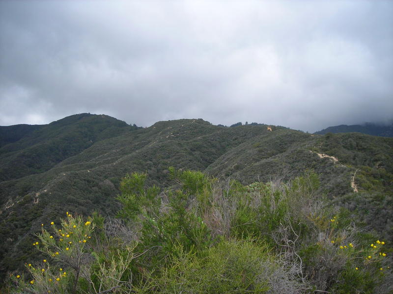 the top of the trail